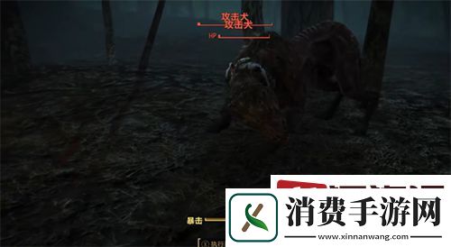 辐射4怎么装水