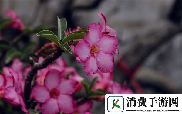 两个人生孩子剧烈运动好吗：如何选择合适的运动方式