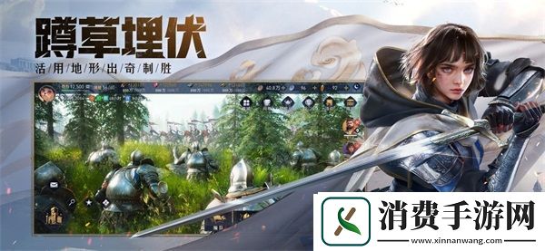 帝国时代正版合作