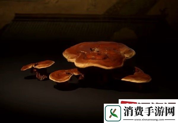 黑神话悟空左下角三条代表什么
