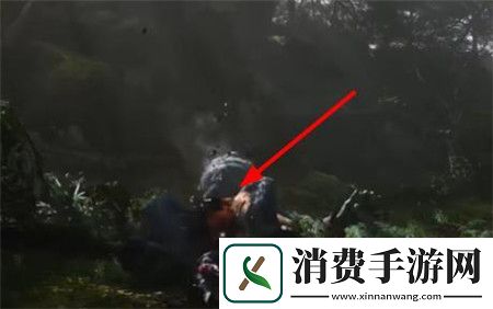 黑神话悟空幽魂怎么打黑神话悟空幽魂打法攻略
