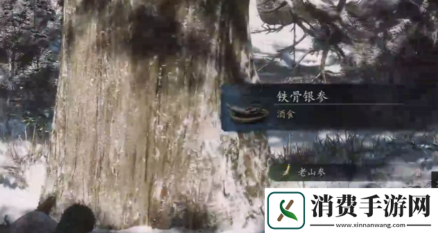 黑神话悟空铁骨银参怎么获得铁骨银参获取方法