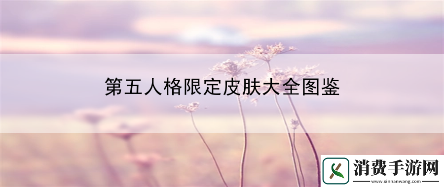 第五人格限定皮肤大全图鉴