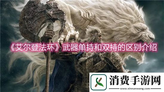 艾尔登法环手游武器单持和双持的区别介绍
