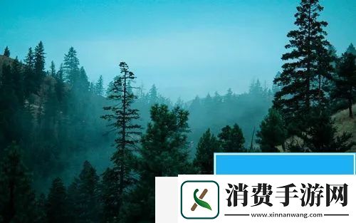 微信游戏不让好友看到排行：合理分配-不浪费一丝一毫