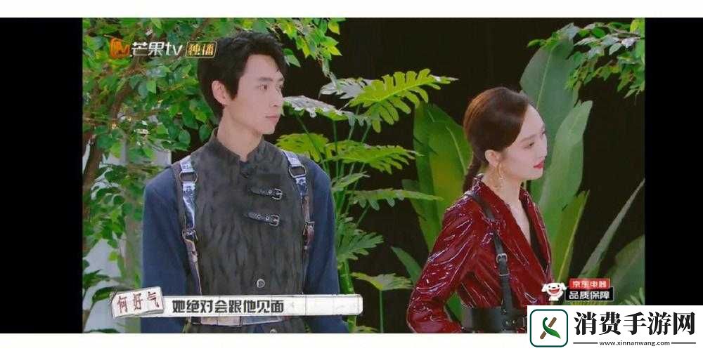 成全视频观看技巧和方法
