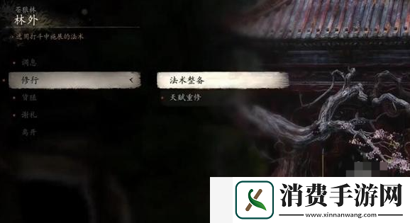黑神话悟空天赋可以重修吗