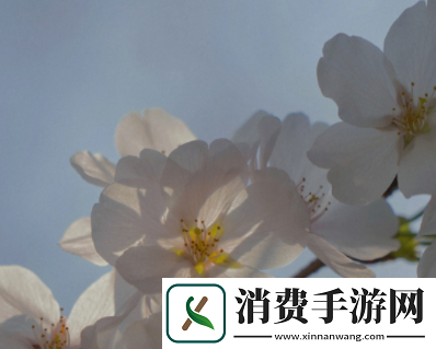 两峰夹小溪地湿又无泥诗