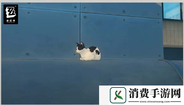 绝区零奶盖猫咪位置攻略