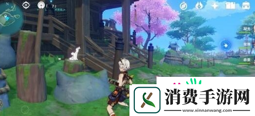 原神拍不出来拍摄两种猫咪怎么解决
