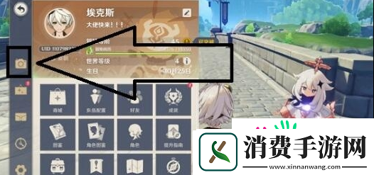 原神拍不出来拍摄两种猫咪怎么解决-具体一览