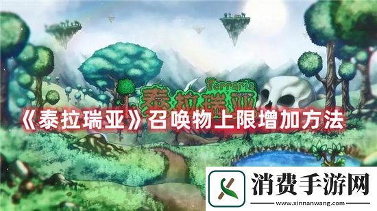 泰拉瑞亚手游召唤物上限增加方法