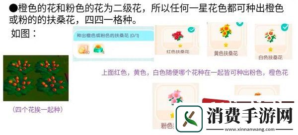 心动小镇扶桑花怎么种植