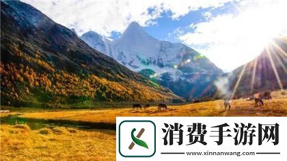 四个人换着玩的过程叫什么游戏呢
