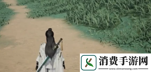 射雕武器选择攻略介绍