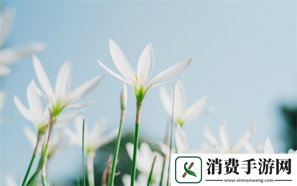 班长我错了能不能关掉开关：如何处理班级管理中的错误