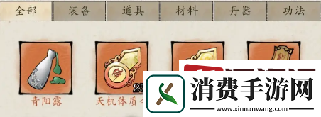 修真江湖2体质怎么装