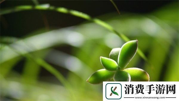 李阿姨今年44岁刘阿姨比