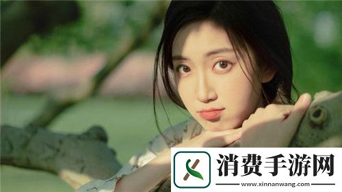MY.72777最新域名查询：数字时代的域名选择策略