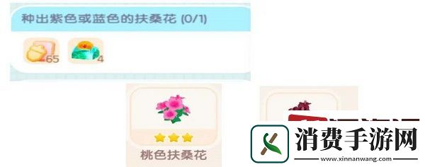 心动小镇扶桑花怎么种植