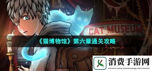 猫博物馆第六章猫咪博物馆怎么过关第六章通关攻略