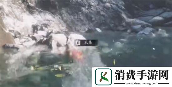 黑神话悟空嫩玉藕获得方法-黑神话悟空嫩玉藕怎么获得