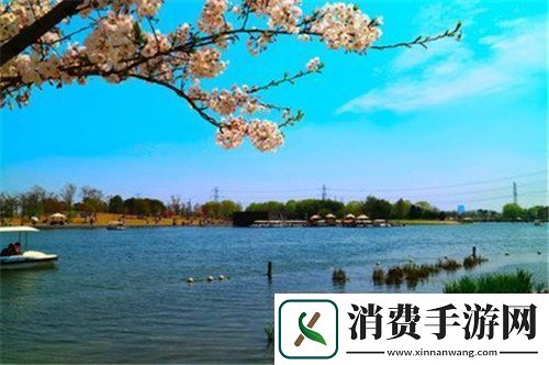 开局双飞宋倩董文洁