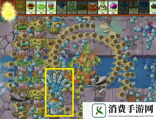 植物大战僵尸杂交版黄油忧郁菇3怎么过