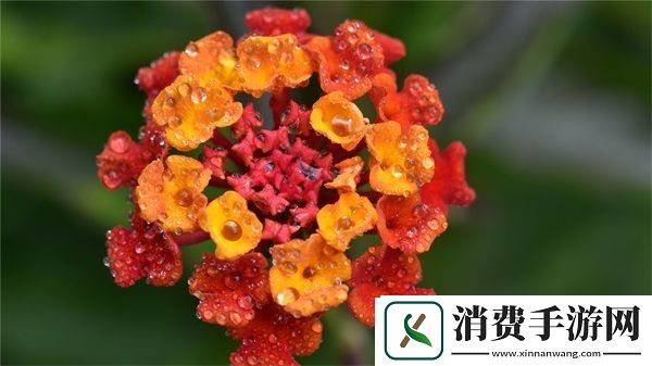 h系列高强灌浆料一般几天恢复：影响恢复时间的关键因素