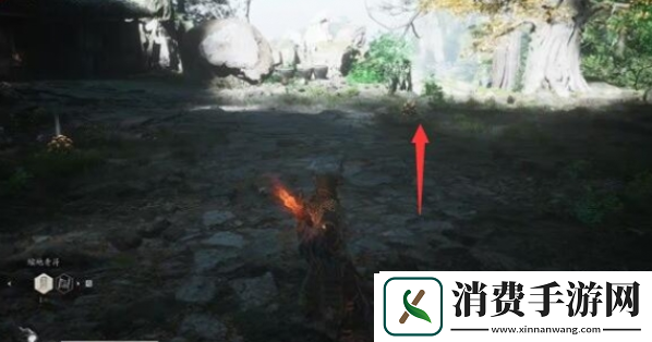黑神话悟空猴头菌种子获取方法