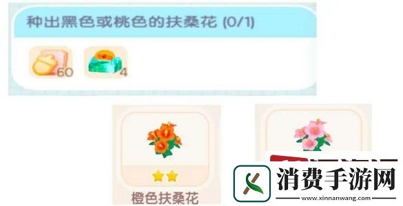 心动小镇扶桑花怎么种植