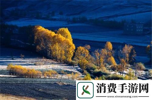 给我c1v1娱乐圈
