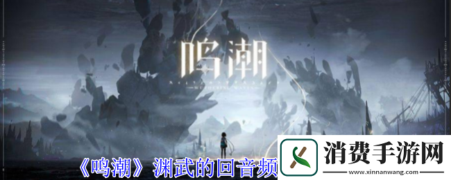 鸣潮渊武的回音频段有什么用鸣潮渊武的回音频段效果介绍