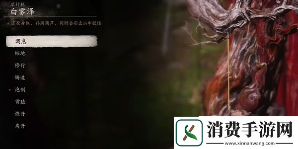 黑神话悟空葫芦在哪里升级