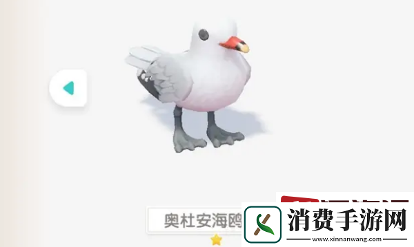 心动小镇奥杜安海鸥在哪里