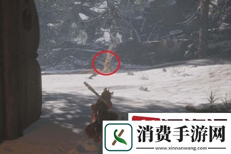 黑神话悟空落伽香藤全地图怎么收集