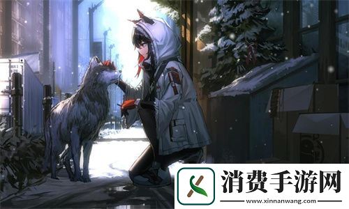 成品短视频app源码入口在哪
