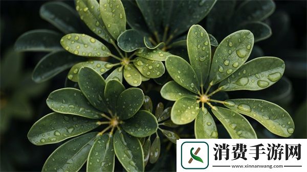 你的鲍鱼里会有别人的酸奶吗：避免混淆的实用指南