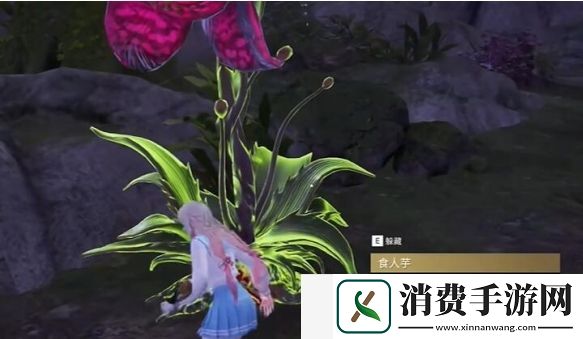 永劫无间手游龙隐洞天食人芋位置在哪