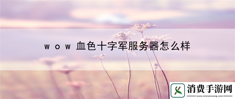 wow血色十字军服务器怎么样