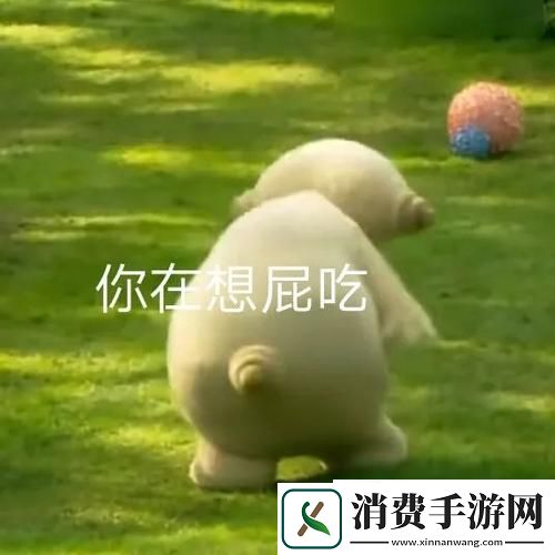 抖音​玛卡巴卡表情包有哪些