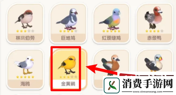 心动小镇金黄鹂两星在哪
