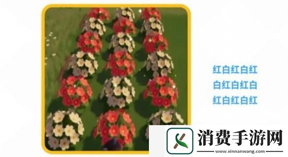 心动小镇花卉怎么杂交