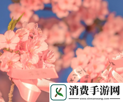 厨房一次又一次的索要刷碗总：应对厨房刷碗难题的方法