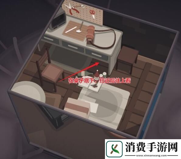 笼中窥梦各关卡照片位置在哪