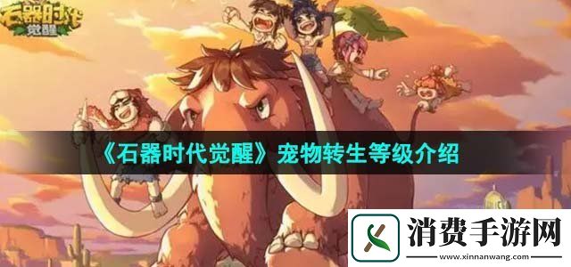 石器时代觉醒宠物转生等级是多少宠物转生等级介绍