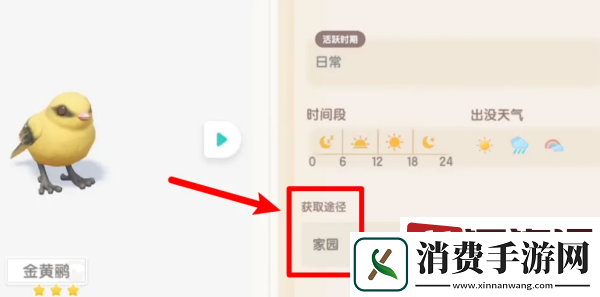 心动小镇金黄鹂两星在哪