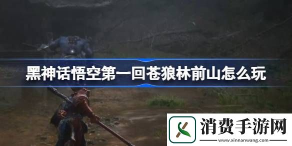 黑神话悟空苍狼林前山攻略-黑神话悟空苍狼林前山怎么玩