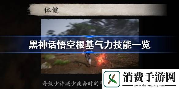 黑神话悟空根基气力技能有哪些-黑神话悟空根基气力技能一览