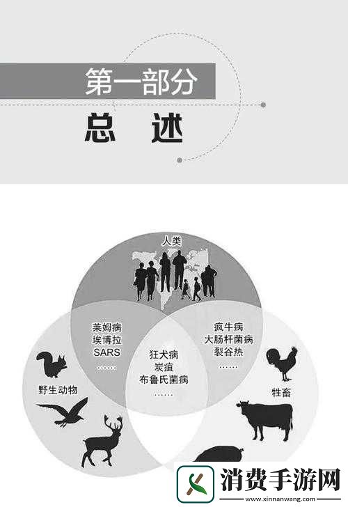 畜禽与人
